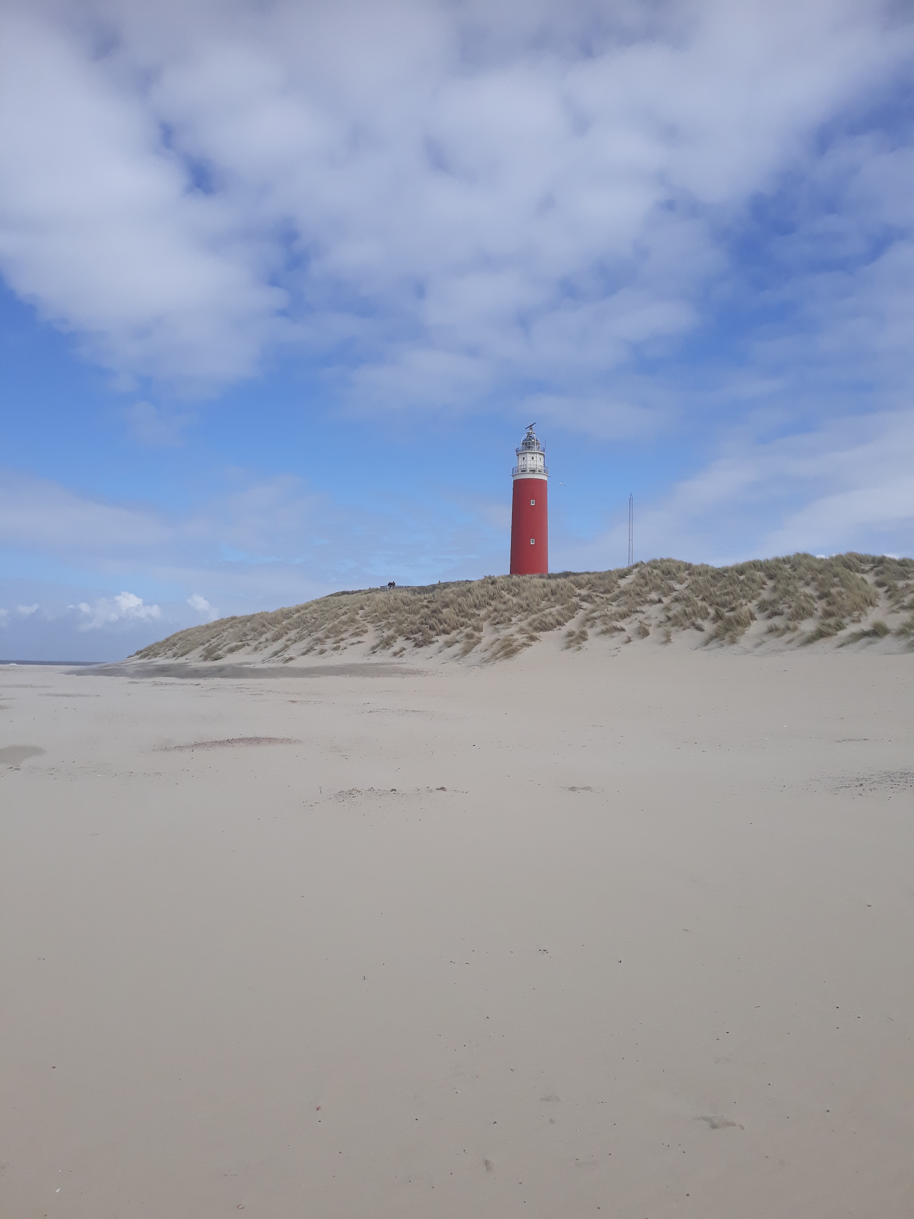Texel