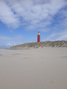 Texel